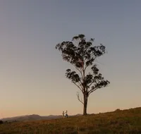 Faulls Ridge Winery - Holiday Cairns