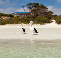 Kangaroo Island Star Beach House - Holiday Cairns