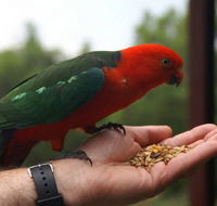 Barrington Tops Escapes - Holiday Cairns