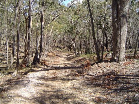 Bushmans Lookout - Holiday Cairns 3