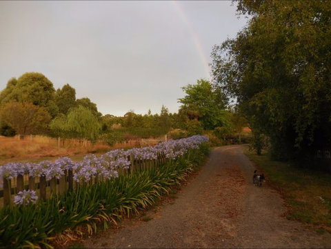 Bunjil Farm - Holiday Cairns 5