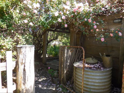 Bunjil Farm - Holiday Cairns 7