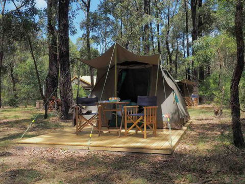 Tall Trees Camping On The Great Ocean Road - Holiday Cairns 0
