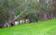 Yalooka Farm - thumb 4