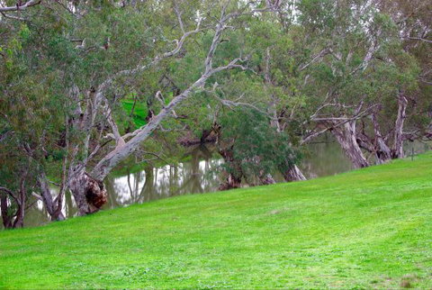 Yalooka Farm - Holiday Cairns 4