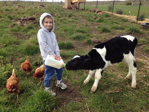 Yalooka Farm - Holiday Cairns 8