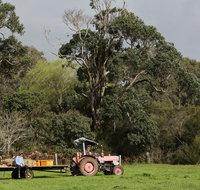 Boronia Farm