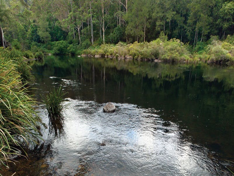 Wild Cattle Creek NSW Holiday Cairns