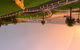 Eastern Beach Art House - thumb 9
