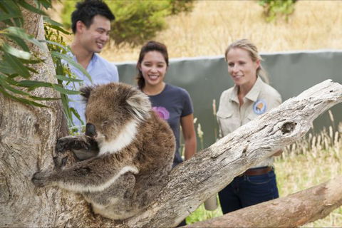 Great Ocean Ecolodge - Holiday Cairns 1