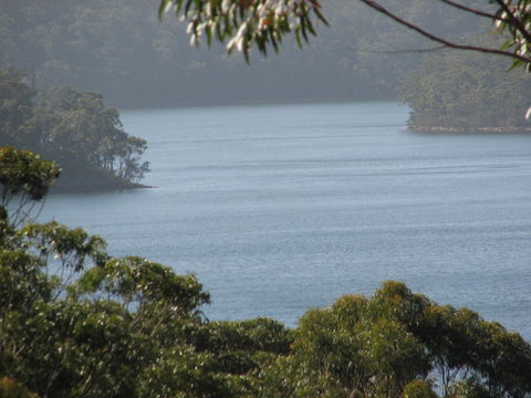 Narrawallee Creek Studio - Holiday Cairns 2