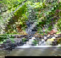O'Reilly's Rainforest Retreat - Holiday Cairns
