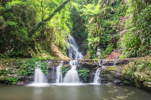 O'Reilly's Rainforest Retreat - Holiday Cairns 0