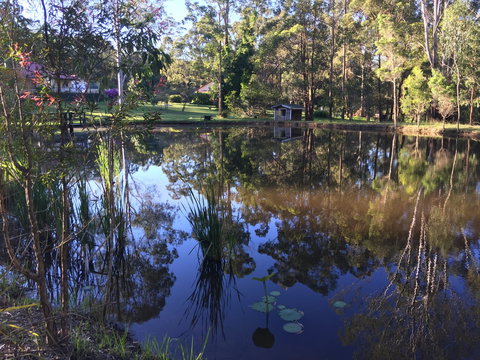 Telegraph Retreat Cottages - Holiday Cairns 8