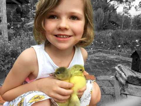 Telegraph Retreat Cottages - Holiday Cairns 9