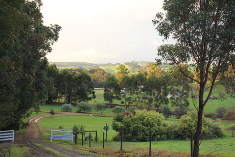 Blue House Bed And Breakfast - Holiday Cairns 2