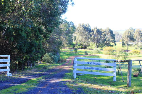Blue House Bed And Breakfast - Holiday Cairns 3