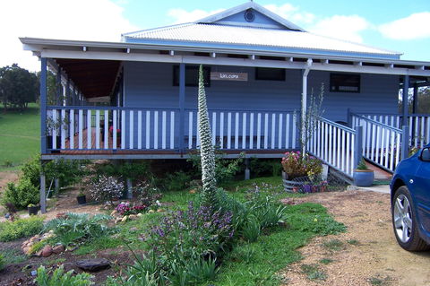 Blue House Bed And Breakfast - Holiday Cairns 4