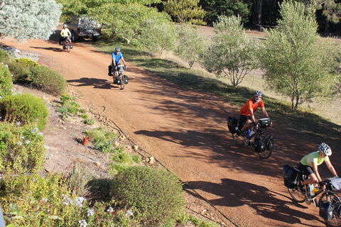 Blue House Bed And Breakfast - Holiday Cairns 5