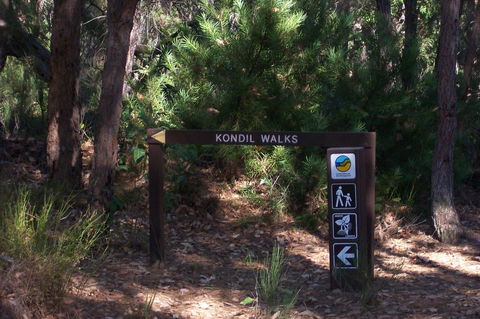 Blue House Bed And Breakfast - Holiday Cairns 8