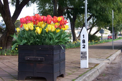 Blue House Bed And Breakfast - Holiday Cairns 9