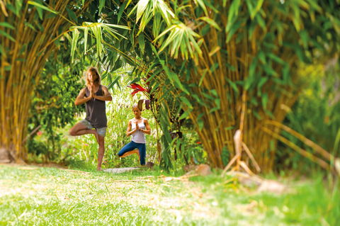 Eternity Springs Art Farm Bed And Breakfast - Holiday Cairns 2