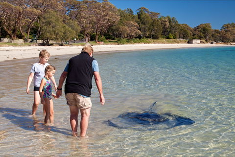 Holiday Haven Bendalong - Holiday Cairns 6