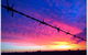 Trangie Caravan Park - thumb 5