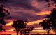 Trangie Caravan Park - thumb 6