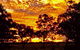 Trangie Caravan Park - thumb 7