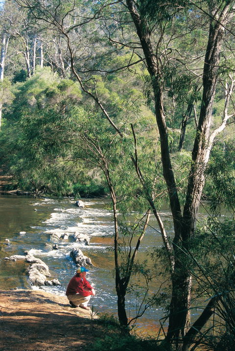 Warren Camp At Warren National Park - Holiday Cairns 0
