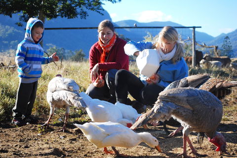 Cedar Glen Farmstay - Holiday Cairns 0