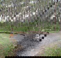Meroo Head campground - Holiday Cairns