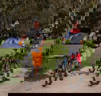 Ngarigo campground - Holiday Cairns