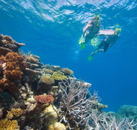 NRMA Cairns Holiday Park - Holiday Cairns
