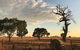 Rocklea Farm - thumb 0