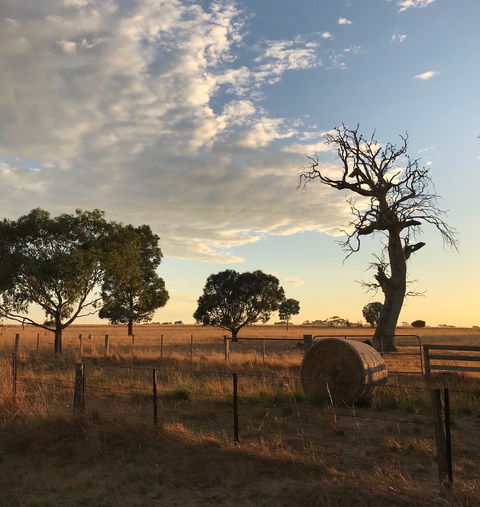 Rocklea Farm - Holiday Cairns 0