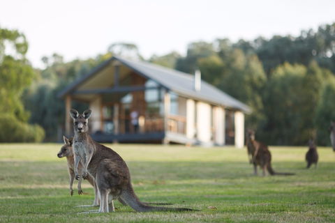 Yering Gorge Cottages - Holiday Cairns 0