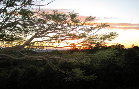 Annie's Place Bed And Breakfast - Holiday Cairns 0