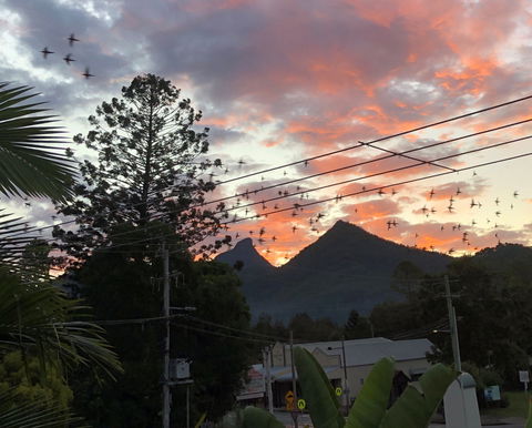 Chesson Lodge- In The Heart Of Uki - Holiday Cairns 0