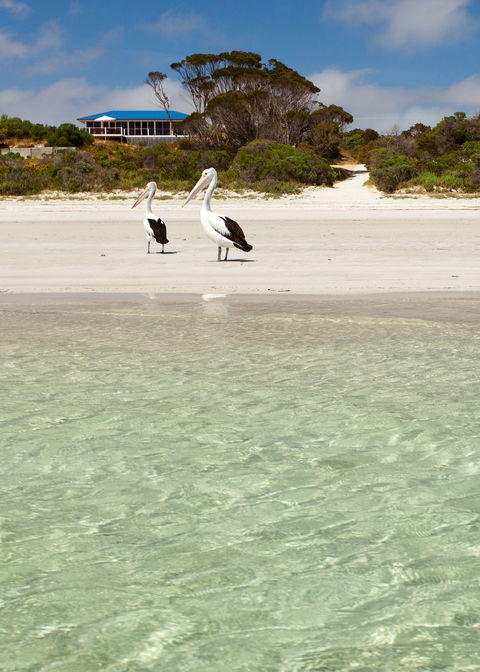 Kangaroo Island Star Beach House - Holiday Cairns 1