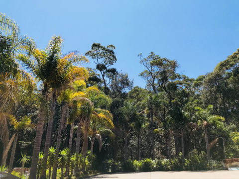 Mollymook Paradise Haven Apartment Motel - Holiday Cairns 2