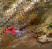 Thungutti campground - Holiday Cairns