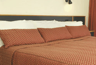 Margarets Forest Holiday Apartments - Holiday Cairns