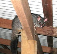 Warren River Resort - Holiday Cairns