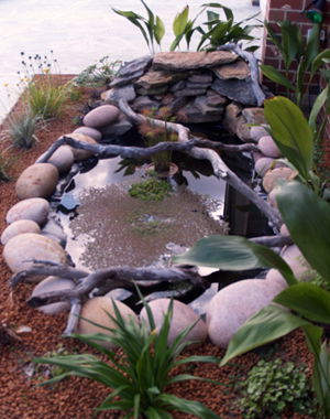 Equal Balance Bed And Breakfast - Holiday Cairns 0