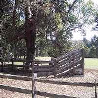Margaret House - Holiday Cairns 5