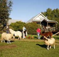 Sunnyhurst Chalets - Holiday Cairns