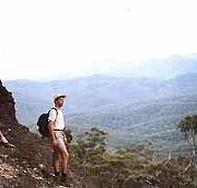 Mimosa Hill Wildflower Farm Cottages - Holiday Cairns