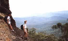 Mimosa Hill Wildflower Farm Cottages - Holiday Cairns 0